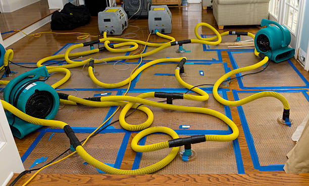 Professional Crawl Space Water Removal technician working in Augusta, NJ